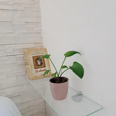 Casa Max Tenerife Lägenhet *