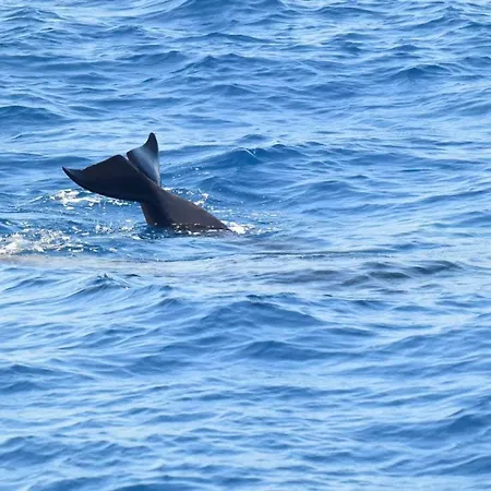 Casa Max Tenerife * La Mareta